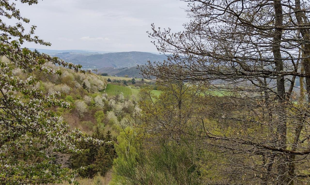 Ferienwohnungen Meindl Idar-Oberstein Buitenkant foto