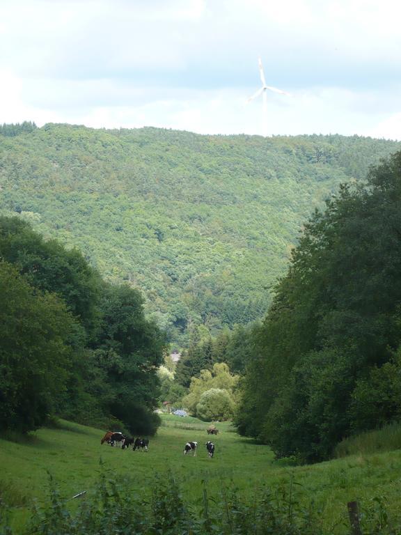 Ferienwohnungen Meindl Idar-Oberstein Kamer foto