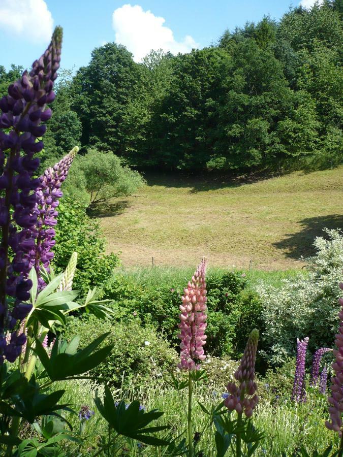 Ferienwohnungen Meindl Idar-Oberstein Buitenkant foto