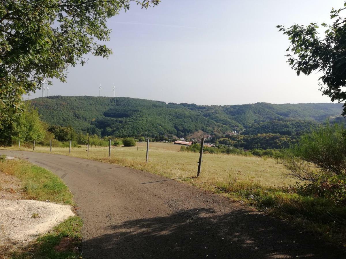 Ferienwohnungen Meindl Idar-Oberstein Buitenkant foto